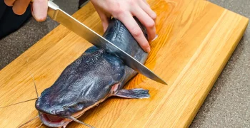how do you fillet a catfish