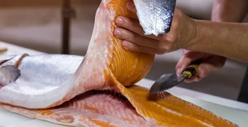 how to fillet a catfish with an electric knife