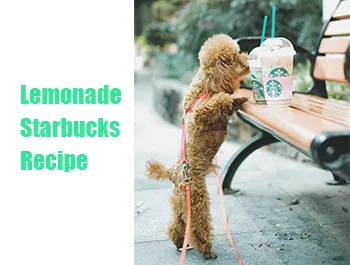 Lemonade Starbucks Recipe