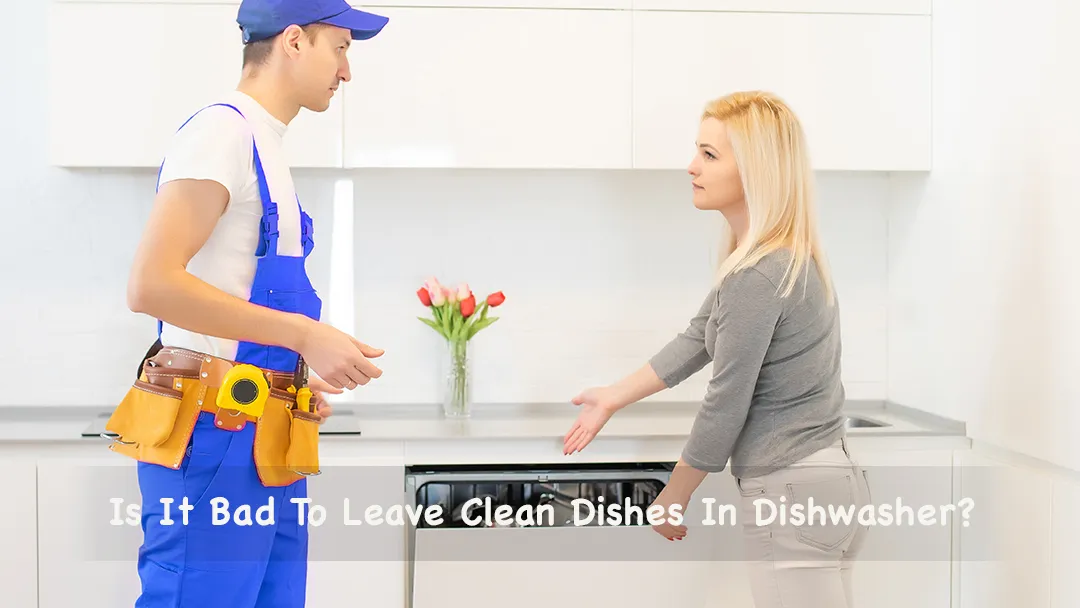 Is It Bad To Leave Clean Dishes In Dishwasher Some Dishwashing Facts