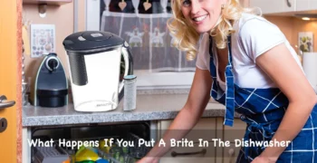 what happens if you put a brita in the dishwasher