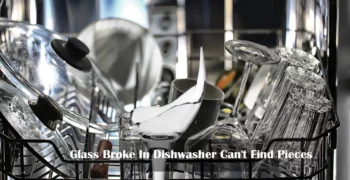 Glass Broke In Dishwasher Can't Find Pieces