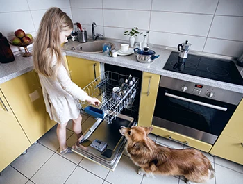 How to Prevent your Dishwasher from Smelling like a Wet Dog